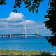 Image for article titled Dead: Tokens at America's Major Suspension Bridges